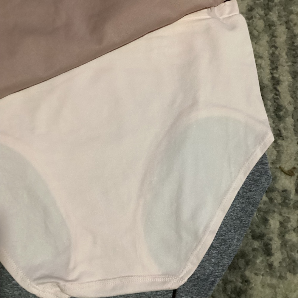 Laura Ashley Panties Briefs Underwear Lingerie Poly Nylon Spandex Plus Size 2X - Picture 5 of 8